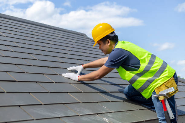 Best Cold Roofs  in Wells, NV