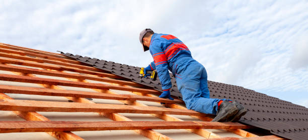 Best Skylight Installation and Repair  in Wells, NV