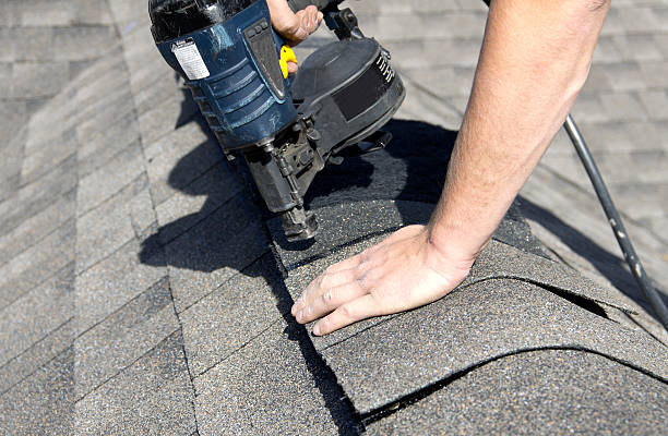 Best Solar Panel Roofing Installation  in Wells, NV