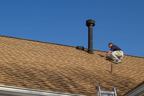 Best Sheet Metal Roofing  in Wells, NV